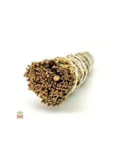 Cèdre à encens des États-Unis – Grand fagot, Libocedrus... 2