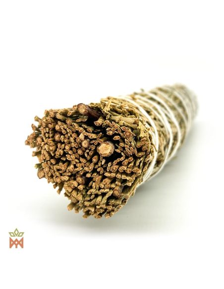 Bout du grand fagot de cèdre à encens, rameaux coupés de Libocedrus decurrens
