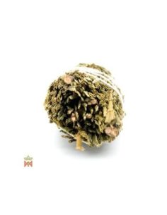 Cèdre à encens américain – Fagot moyen, Libocedrus decurrens 2