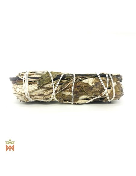 Fagot de yerba santa de profil, feuilles repliées d’Eriodictyon californicum