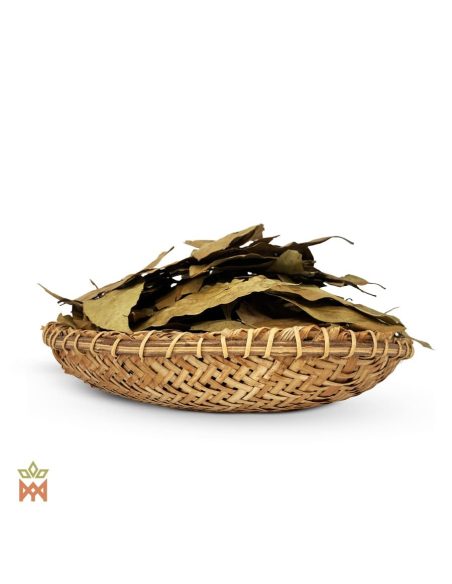 Ishpingo du Pérou (Ocotea quixos) – feuilles longues et étroites, vert olive à brun-gris, dans un panier tressé