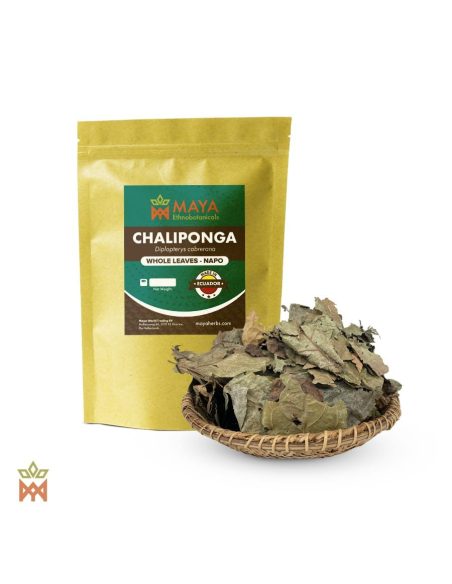 Chaliponga d’Équateur, Napo – Feuilles entières, Diplopterys cabrerana – sachet étiqueté et panier de feuilles