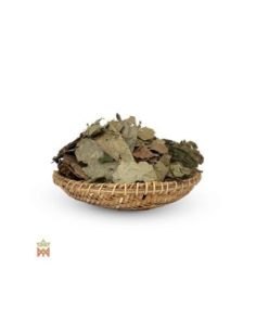 Chaliponga d’Équateur, Napo – Feuilles entières,... 2