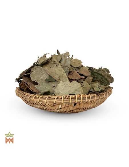 Chaliponga d’Équateur, Napo – Feuilles entières, Diplopterys cabrerana – larges feuilles séchées dans un panier tressé