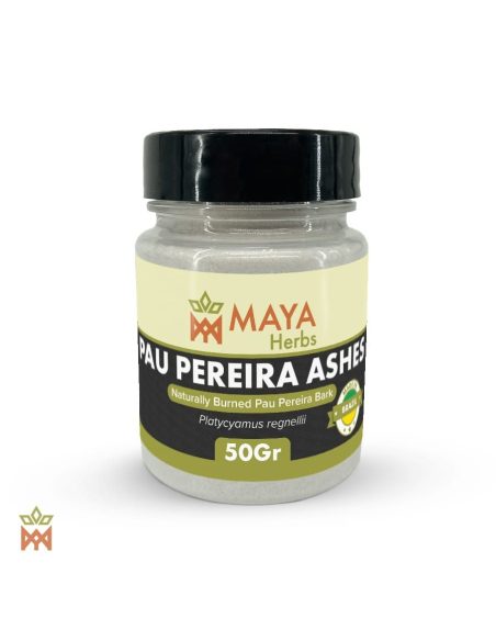 Pau Pereira du Brésil – Cendre d’écorce, Platycyamus regnellii – pot étiqueté, vue de face