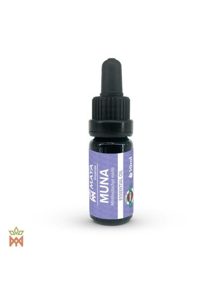 Muña du Pérou – huile essentielle distillée, Minthostachys mollis – flacon compte-gouttes Maya Incense, mention Made in Peru