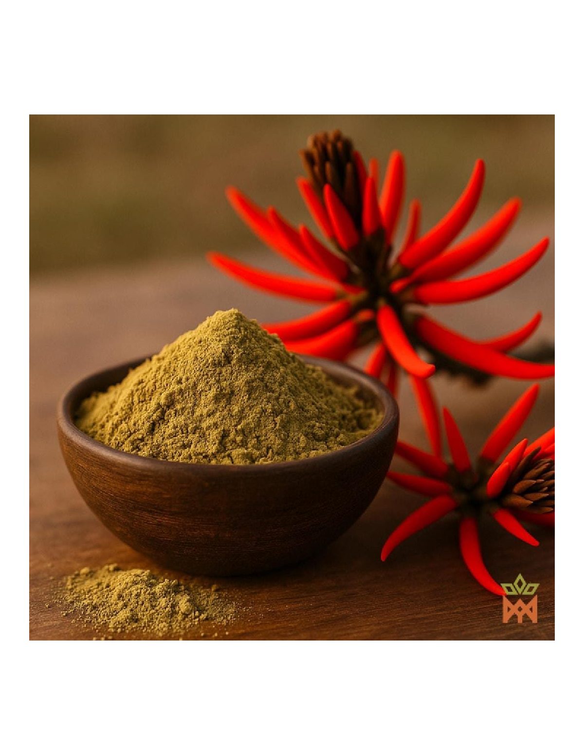 Mulungu (Erythrina mulungu) – illustration du fournisseur, poudre dans un bol et fleurs rouges