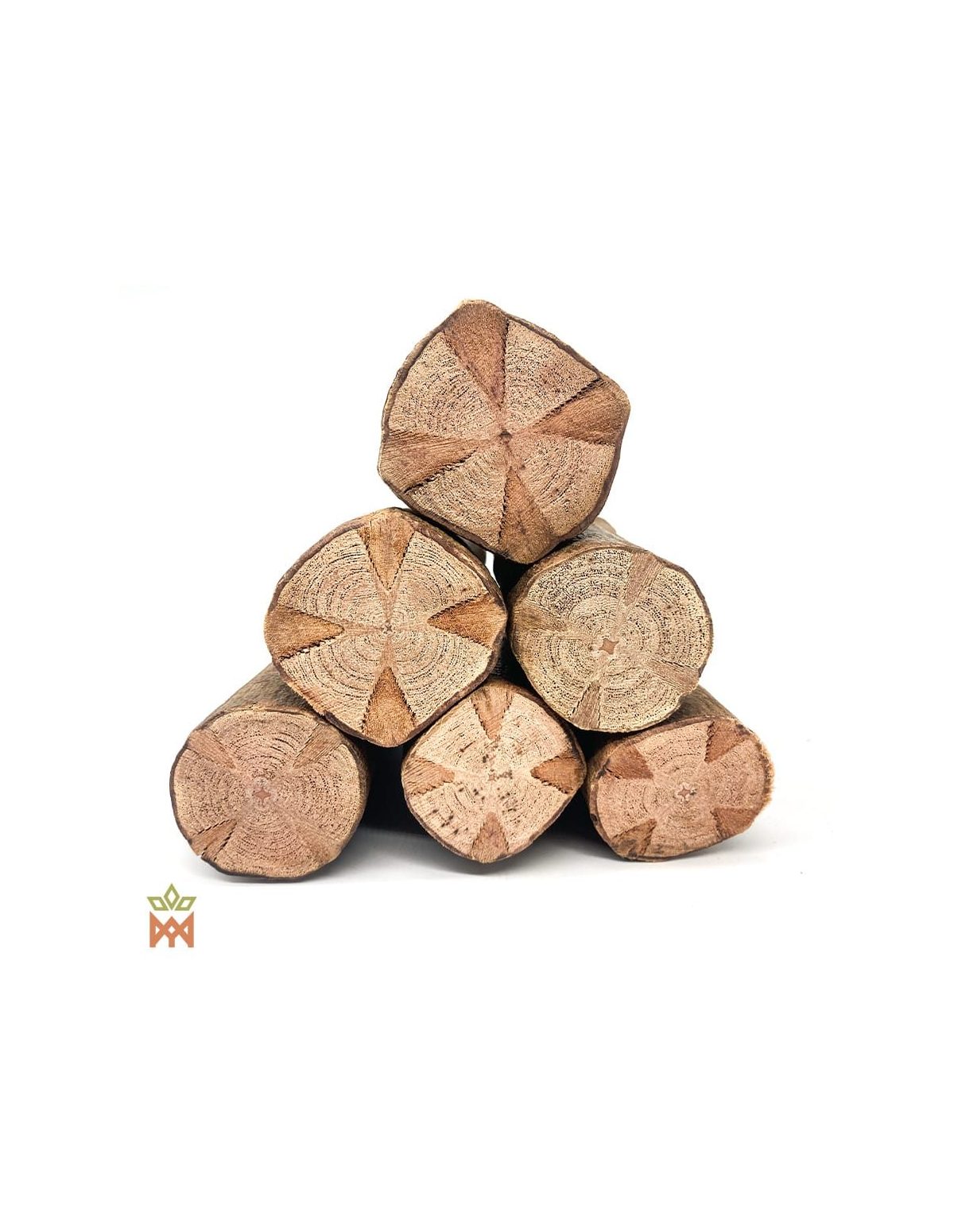 Clavo huasca du Pérou (Tynanthus panurensis) – coupes au motif en croix