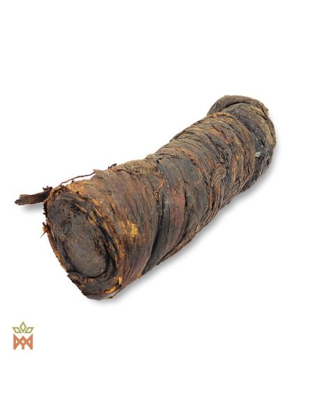 Mapacho d’Arapiraca du Brésil – Rouleau de feuilles, Nicotiana rustica – rouleau seul, extrémités en feuilles