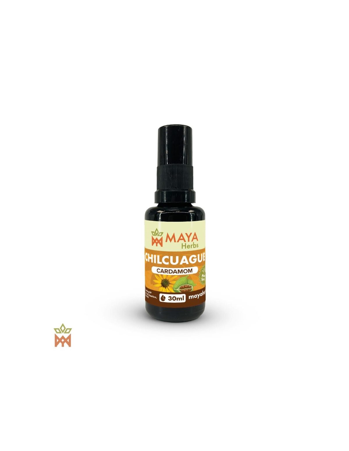 Chilcuague mexicain à la cardamome – Spray 30 ml, Heliopsis longipes – flacon à étiquette Maya Herbs