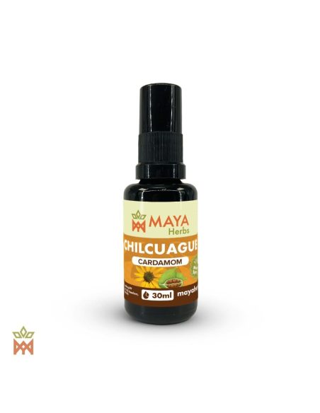 Chilcuague mexicain à la cardamome – Spray 30 ml, Heliopsis longipes – flacon à étiquette Maya Herbs