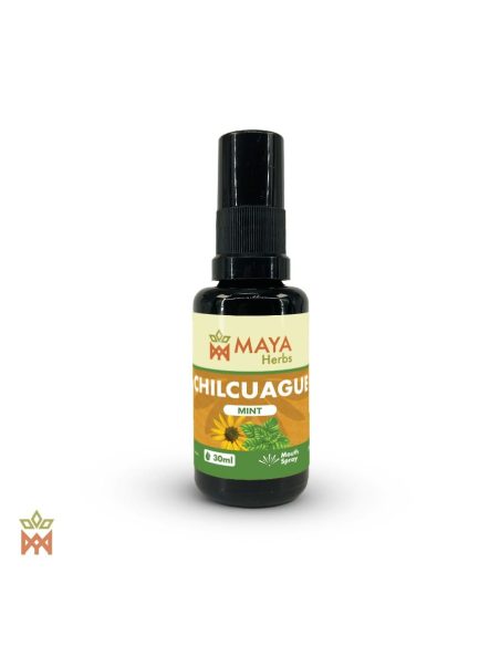 Chilcuague mexicain à la menthe – Spray 30 ml, Heliopsis longipes – flacon à étiquette verte Maya Herbs
