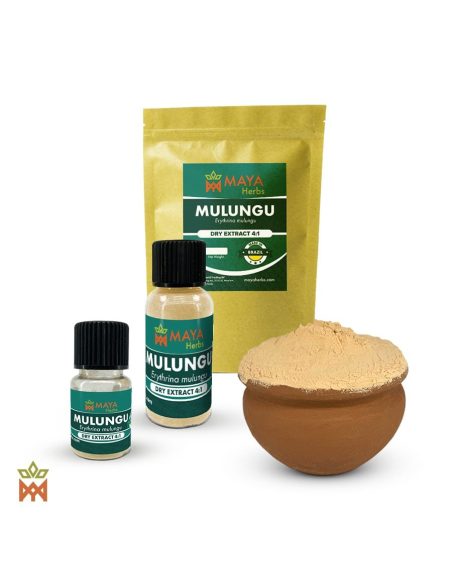 Extrait sec 4:1 d’écorce de mulungu (Erythrina mulungu) – sachet Maya Herbs, deux flacons et poudre dans un pot en terre cuite