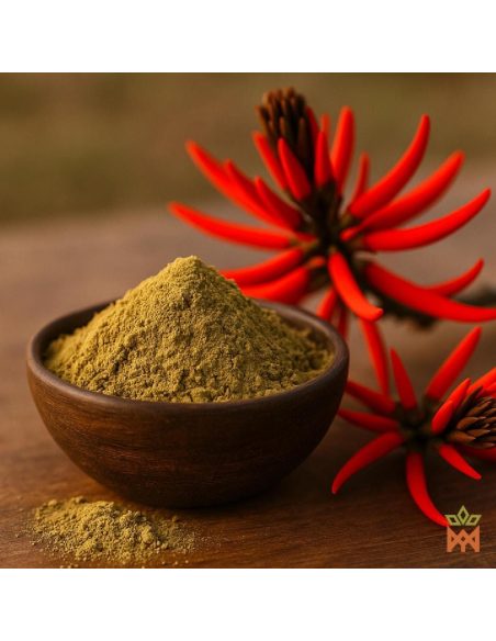 Mulungu (Erythrina mulungu) – illustration du fournisseur, poudre vert-brun et fleurs rouges