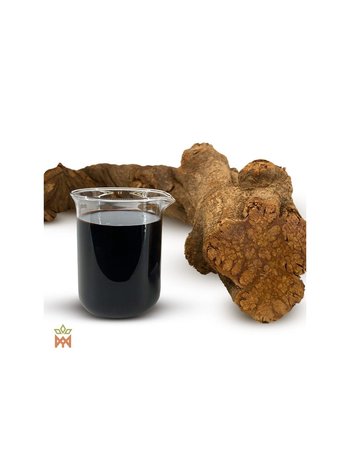 Caapi rouge du Pérou – liquide foncé dans un bécher, à côté d’épais tronçons de liane
