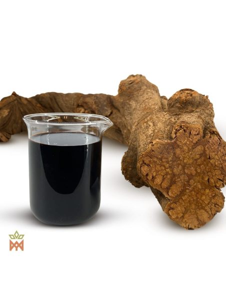 Caapi rouge du Pérou – liquide foncé dans un bécher, à côté d’épais tronçons de liane