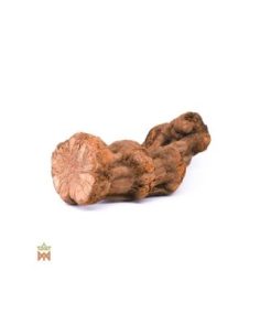 Caupuri du Brésil – Liane entière décorative,...