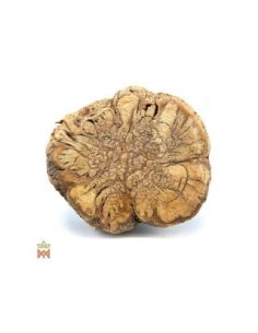 Caupuri du Brésil – Liane entière décorative,... 2