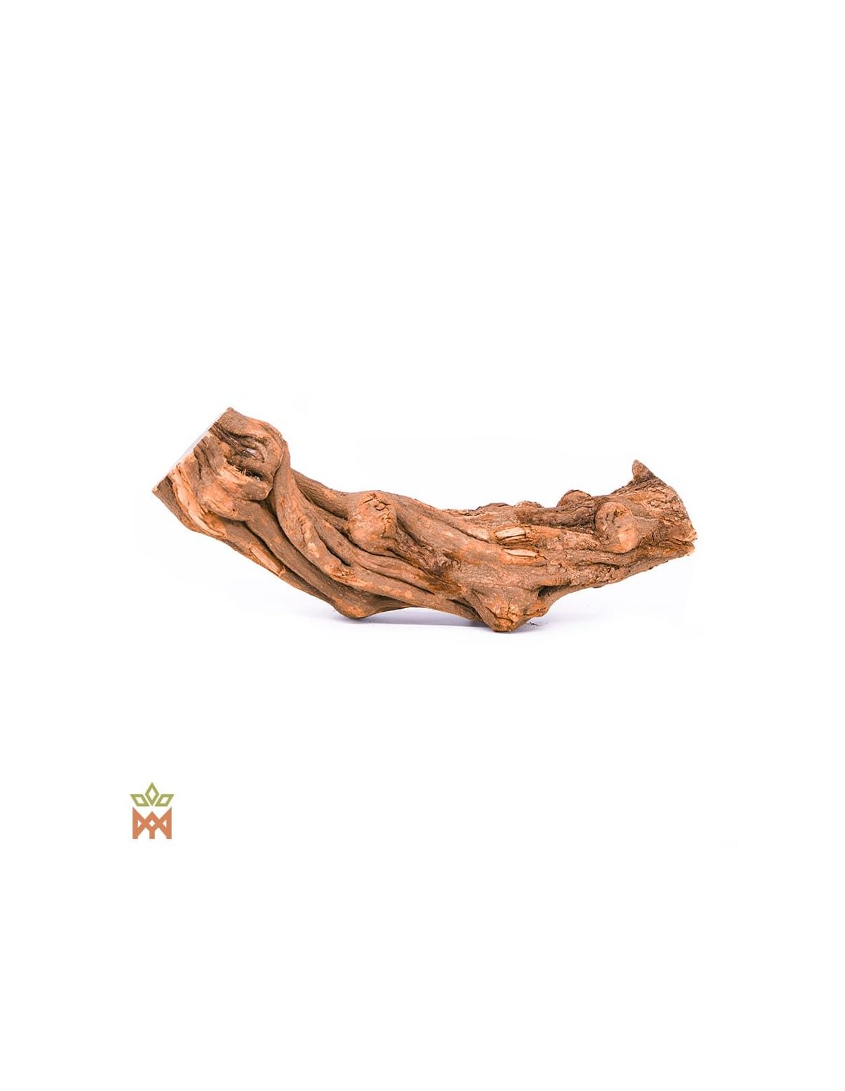 Caupuri du Brésil – Liane entière décorative, Banisteriopsis caapi – pièce de liane torsadée en courbe