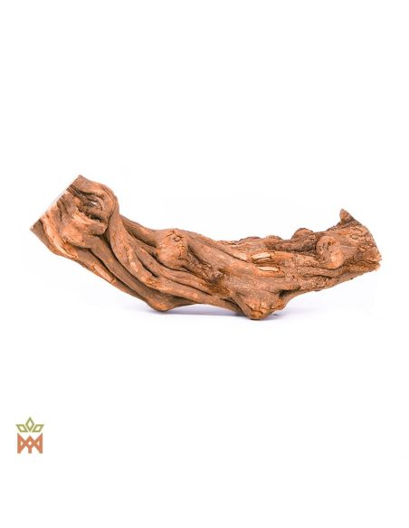 Caupuri du Brésil – Liane entière décorative, Banisteriopsis caapi – pièce de liane torsadée en courbe