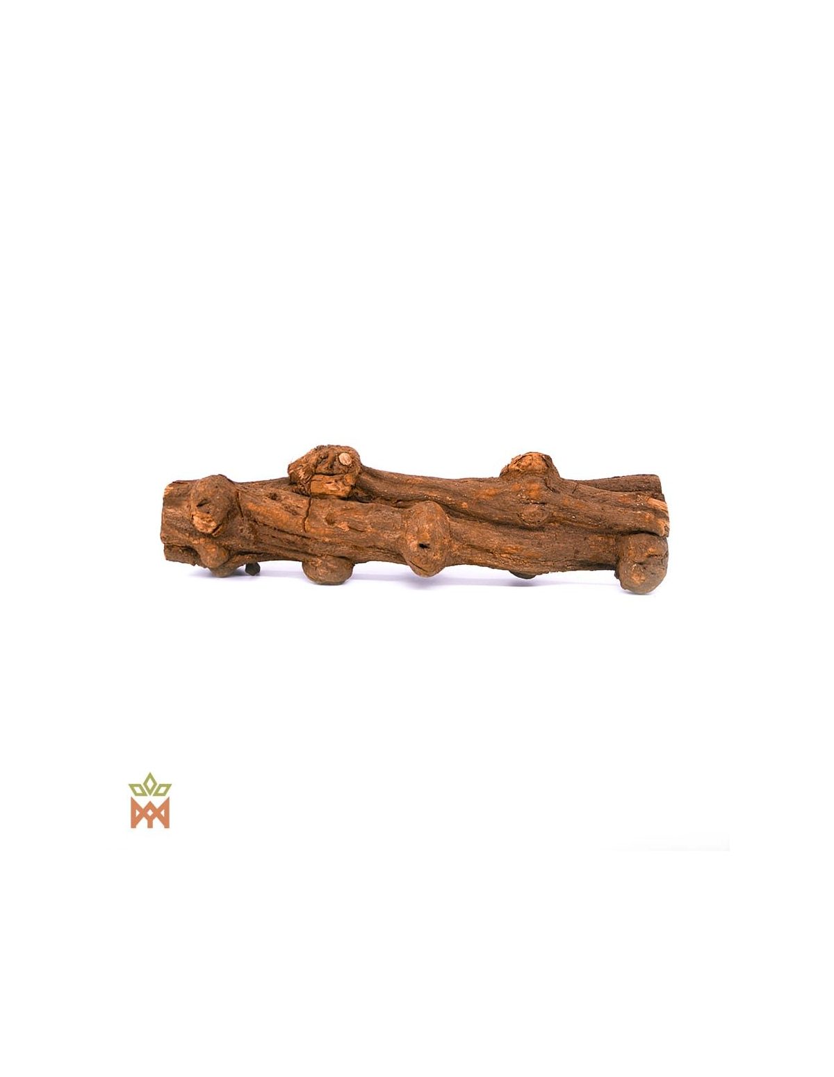 Caupuri du Brésil – Liane entière décorative, Banisteriopsis caapi – tronçon droit de liane aux renflements arrondis