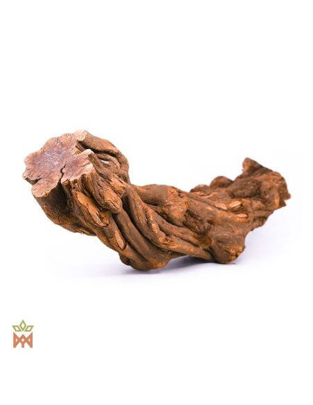 Caupuri du Brésil – Liane entière décorative, Banisteriopsis caapi – pièce de liane torsadée à large extrémité coupée