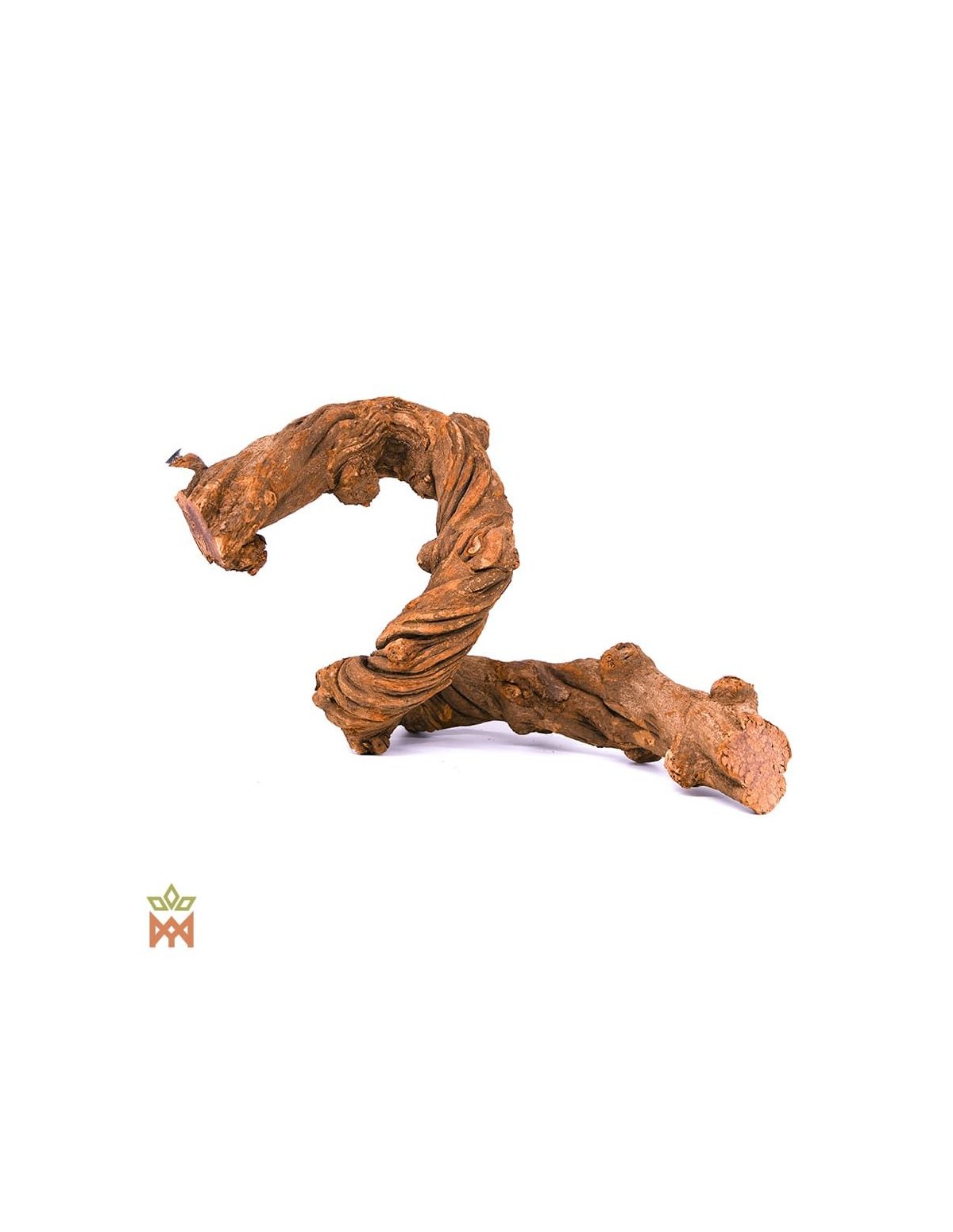 Caupuri du Brésil – Liane entière décorative, Banisteriopsis caapi – pièce de liane torsadée en forme de S