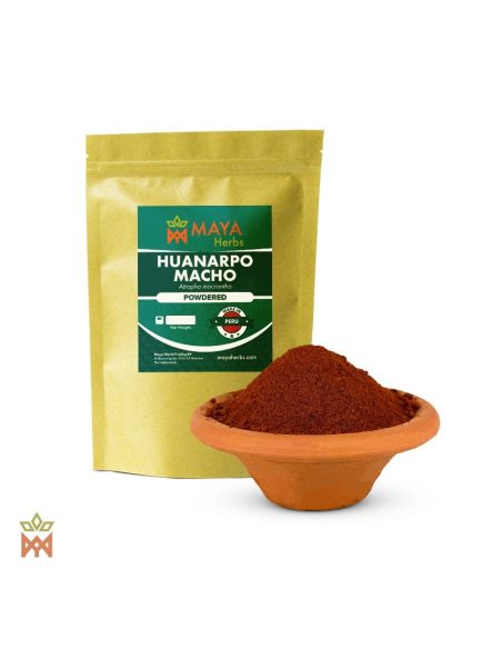 Huanarpo macho du Pérou – Bulbes en poudre, Jatropha macrantha – sachet et coupelle de poudre