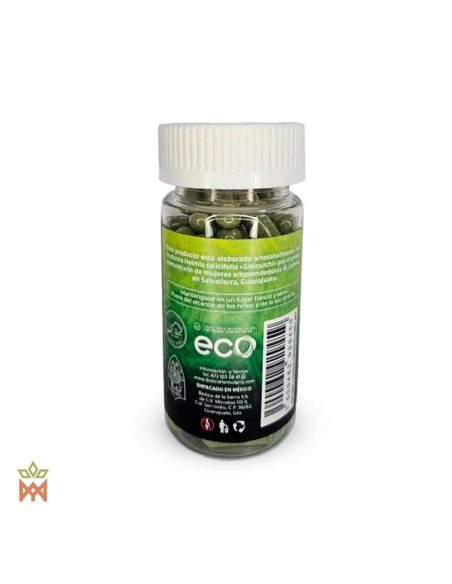Yucutuchi du Mexique – Capsules de feuilles, Heimia salicifolia – étiquette arrière en espagnol