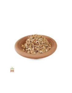 Sassafras américain – écorce effilochée, Sassafras albidum 2