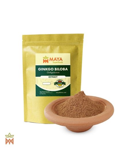 Extrait sec de feuille de ginkgo de Chine – sachet Maya Superfoods et poudre brune fine dans un bol en terre cuite