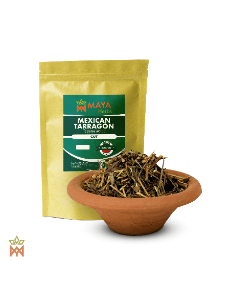 Estragon du Mexique – sachet Maya Herbs « Cut » et plante effilochée dans un bol en terre cuite