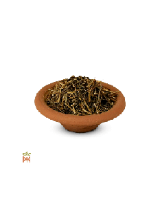 Estragon du Mexique – herbe effilochée, Tagetes lucida 2