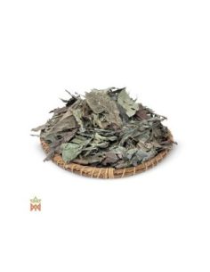 Chacruna Shipibo du Pérou – Feuilles entières, Psychotria... 2