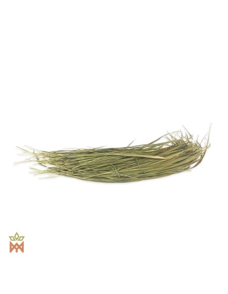 Foin d’odeur des États-Unis – Feuilles entières, Hierochloe odorata – botte lâche de longues feuilles séchées
