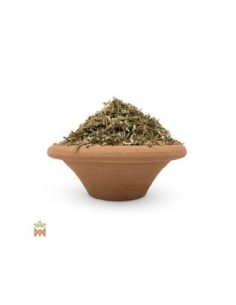 Chanca Piedra du Pérou – Plante effilochée, Phyllanthus... 2