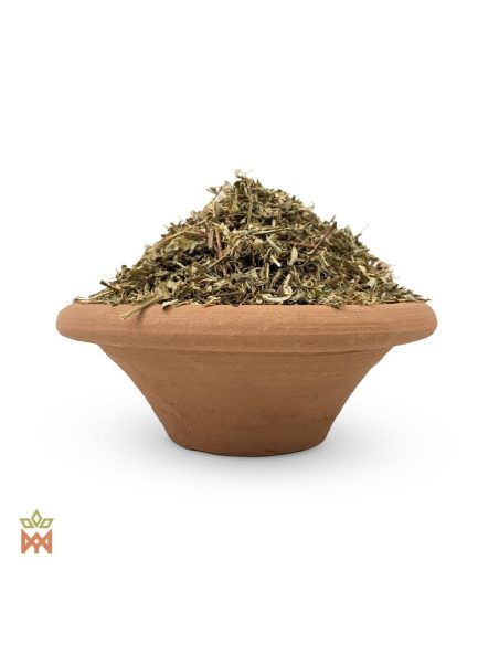 Chanca Piedra du Pérou – Plante effilochée, Phyllanthus niruri – feuilles et tiges effilochées dans un bol