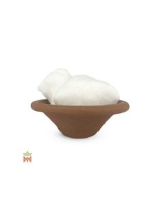 Camphre de Chine – Extrait de résine de sève, Cinnamomum... 2