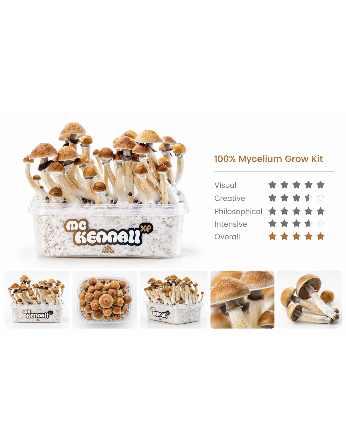 Kit de culture Fresh Mushrooms McKennaii, 1200 ml – kit avec l’étiquette McKennaii