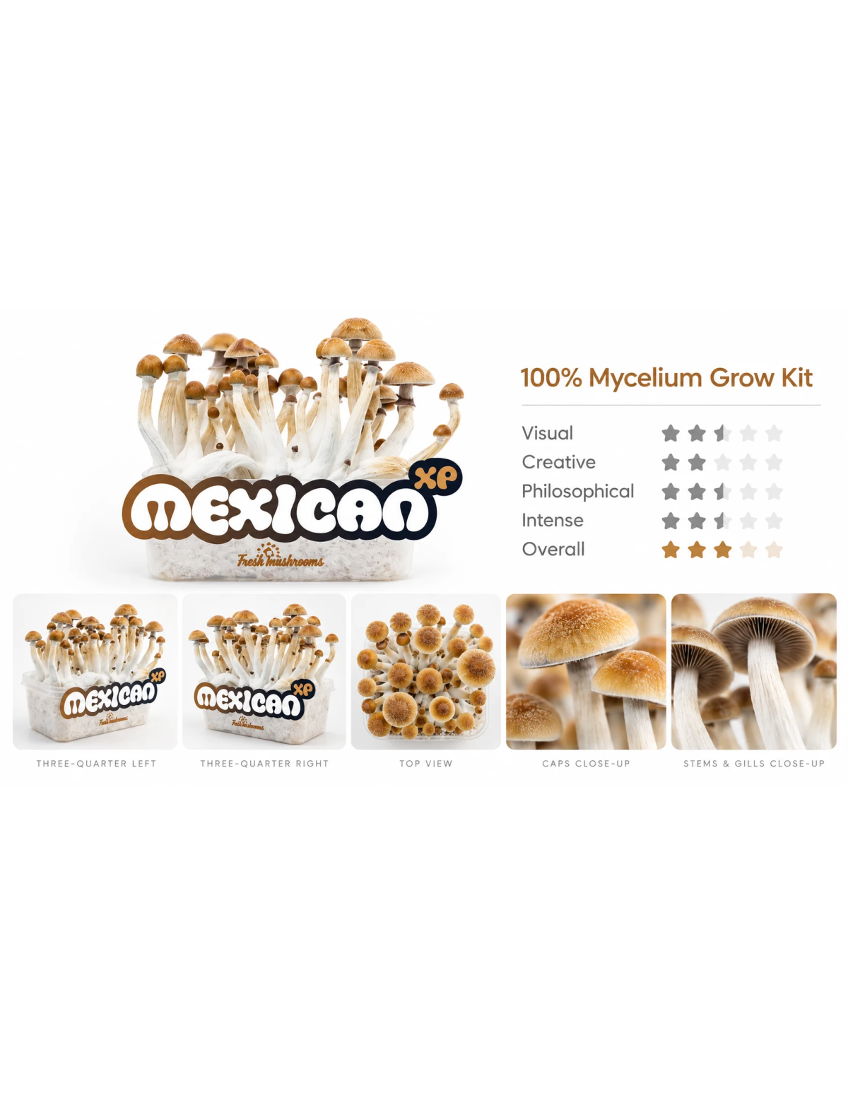 Kit de culture Fresh Mushrooms Mexican, 1200 ml – vue d’ensemble avec cinq vues de détail