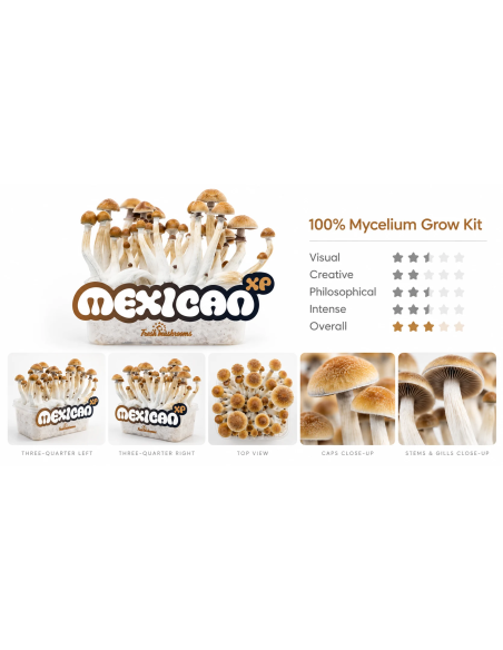 Kit de culture Fresh Mushrooms Mexican, 1200 ml – vue d’ensemble avec cinq vues de détail