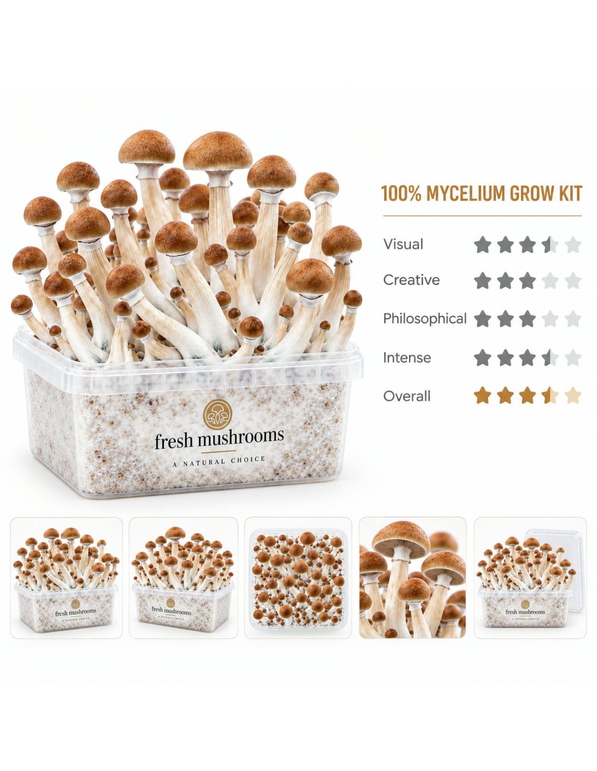 Kit de culture Fresh Mushrooms B+, 1200 ml – vue principale et cinq petites vues