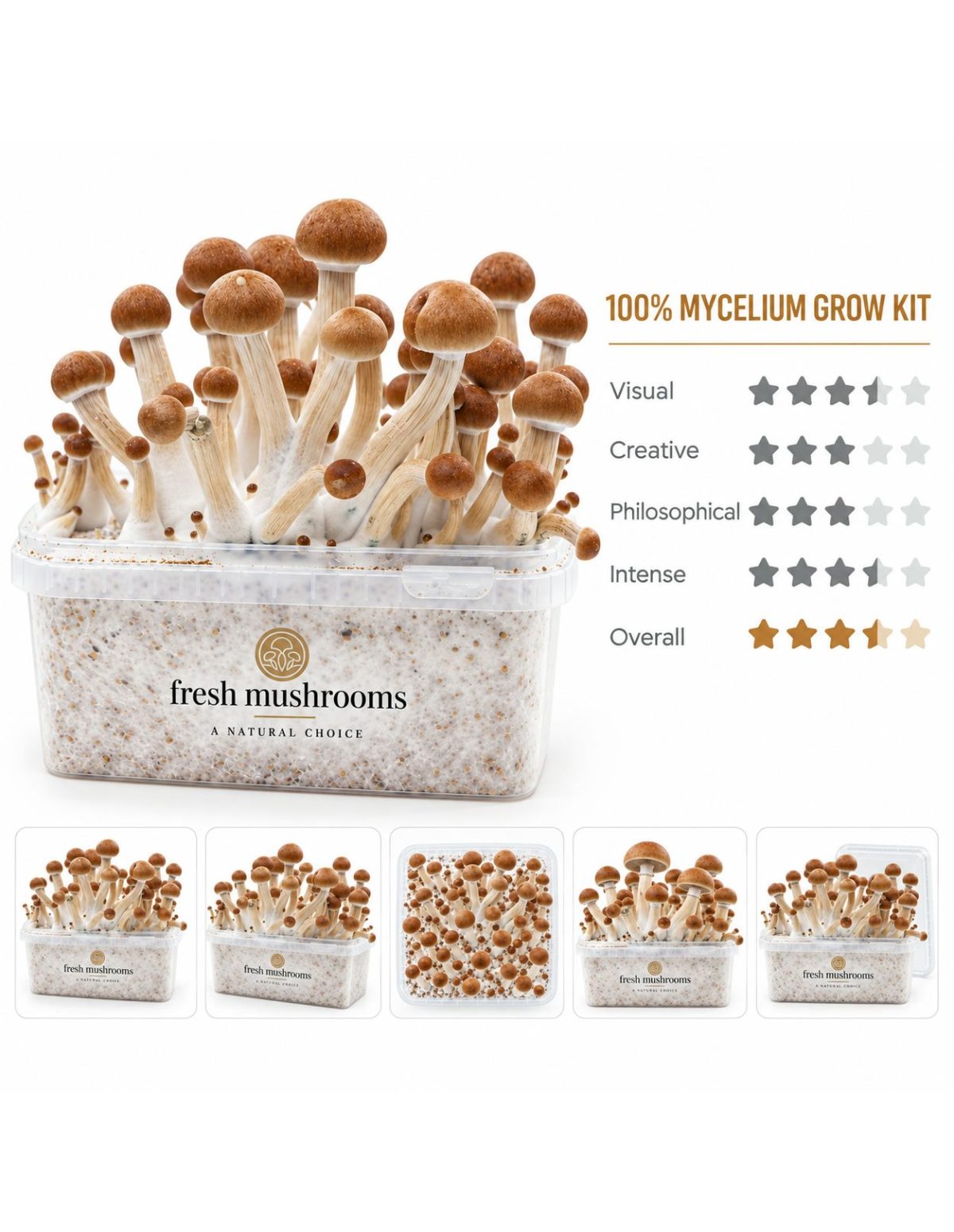 Kit de culture Fresh Mushrooms Ecuador, 1200 ml – vue d’ensemble et cinq vues réduites