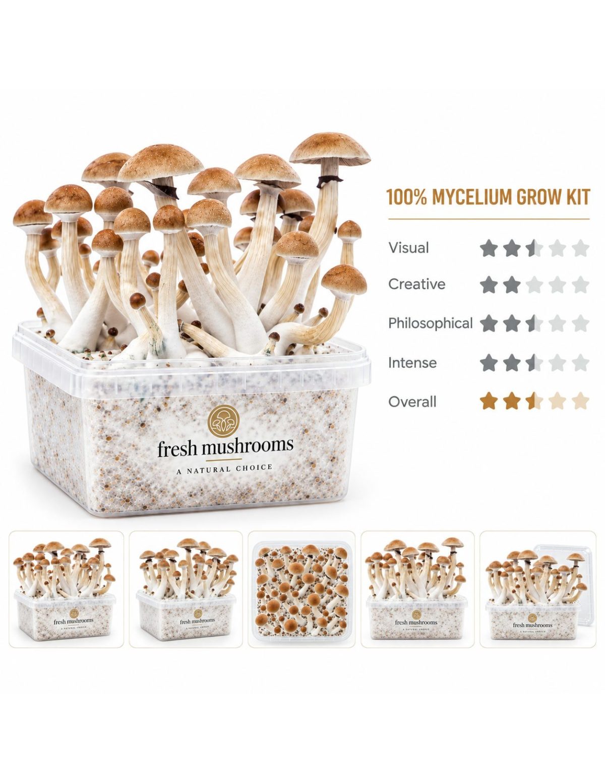 Kit de culture Fresh Mushrooms Thai, 1200 ml – vue principale et cinq petites vues du kit