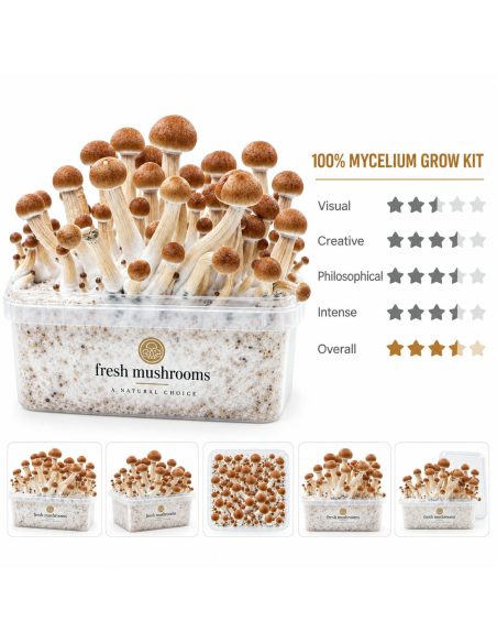 Kit de culture Fresh Mushrooms Colombian, 1200 ml – kit et cinq vues réduites