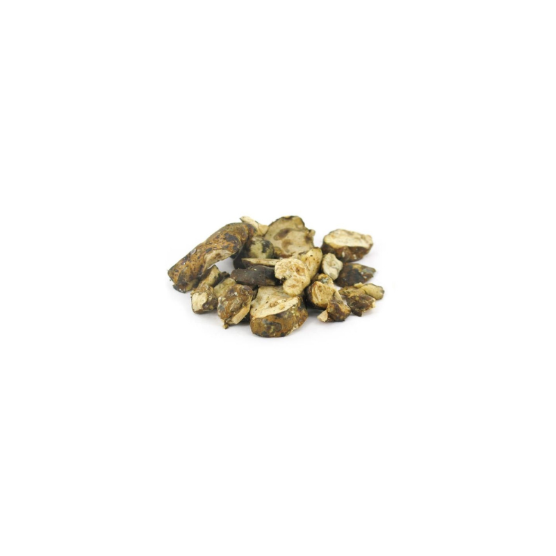 Truffes magiques Psilocybe Utopia – Mycotek – morceaux de truffes