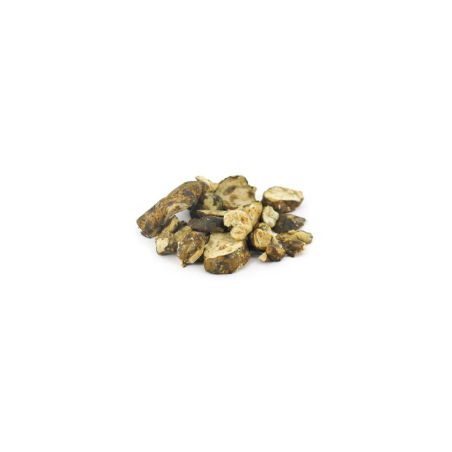 Truffes magiques Psilocybe Utopia – Mycotek – morceaux de truffes