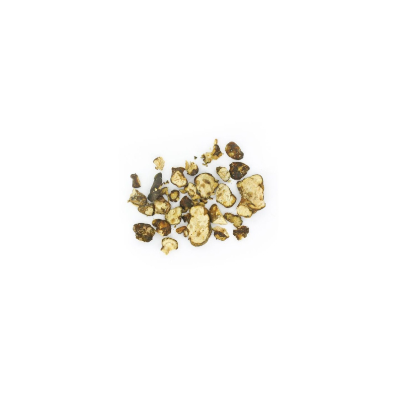 Truffes magiques Psilocybe Utopia – Mycotek – petits morceaux de truffes cassées