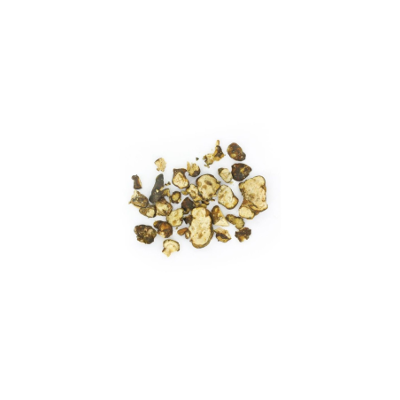Truffes magiques Psilocybe Utopia – Mycotek – petits morceaux de truffes cassées