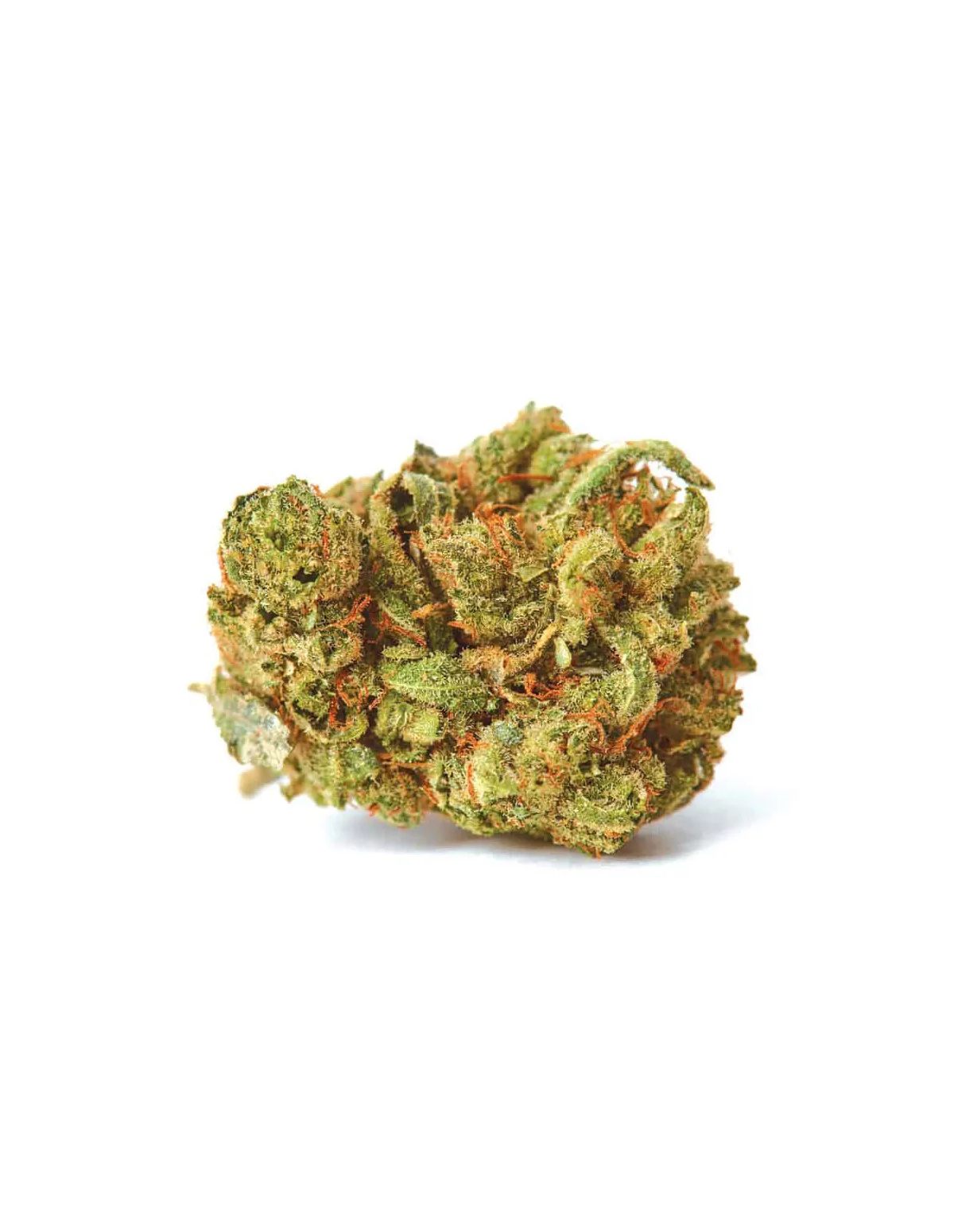 Graines Amnesia Lemon Auto – Just Seeds – fleur de cannabis séchée, illustration